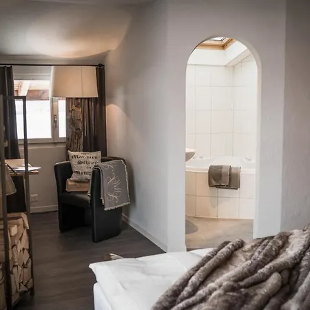 Hotel-restaurant Burgseeli מלון 3*
