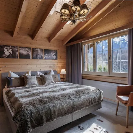 Hotel Hotel-restaurant Burgseeli 3*