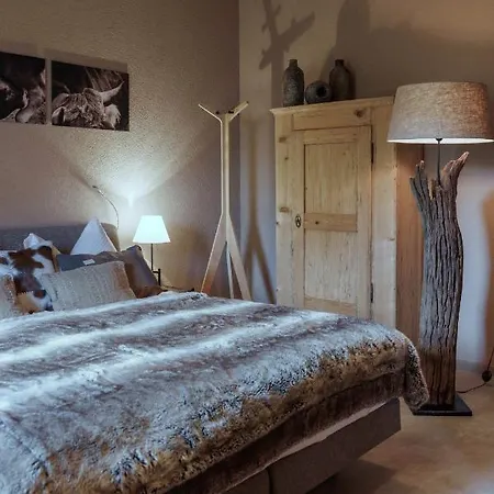 Hotel-restaurant Burgseeli 3* רינגנברג