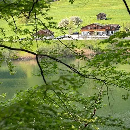 Hotel-restaurant Burgseeli