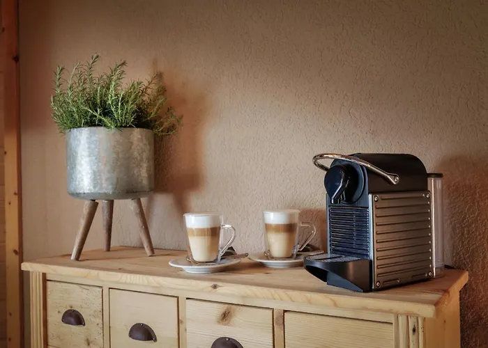 Hotel-restaurant Burgseeli 3* רינגנברג