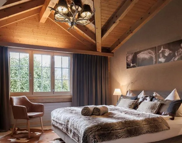 Hotel-restaurant Burgseeli מלון